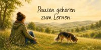 Frau sitzt entspannt auf einer Wiese, während ihr Hund an einer langen Schleppleine schnüffelt – Pausen gehören zum Lernen.